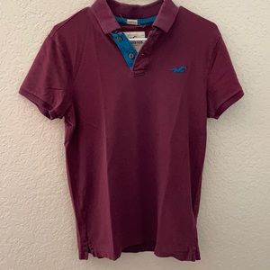 Polo Hollister